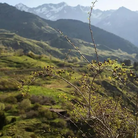 Апартаменты Garbo By Cardi *