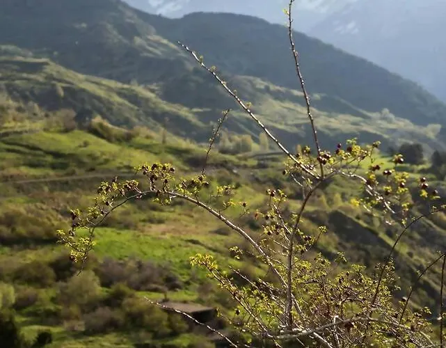 Lägenhet Garbo By Cardi *